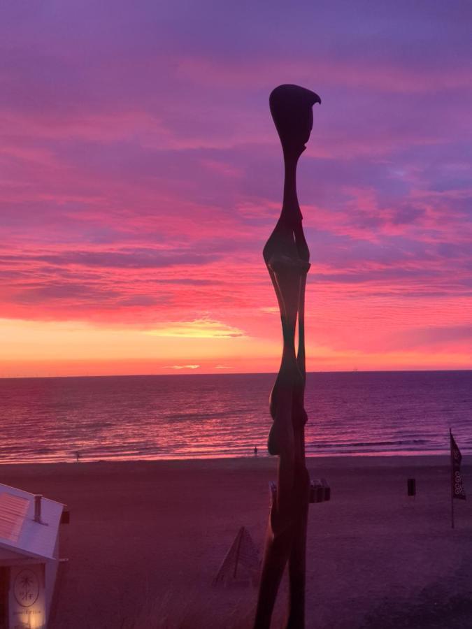 Sunset Lodge Zandvoort Buitenkant foto